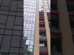 Toldos de ventana retráctiles con brazo abatible